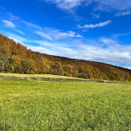 Domki Nad Stawem Uherce Uherce Mineralne Eksteriør bilde