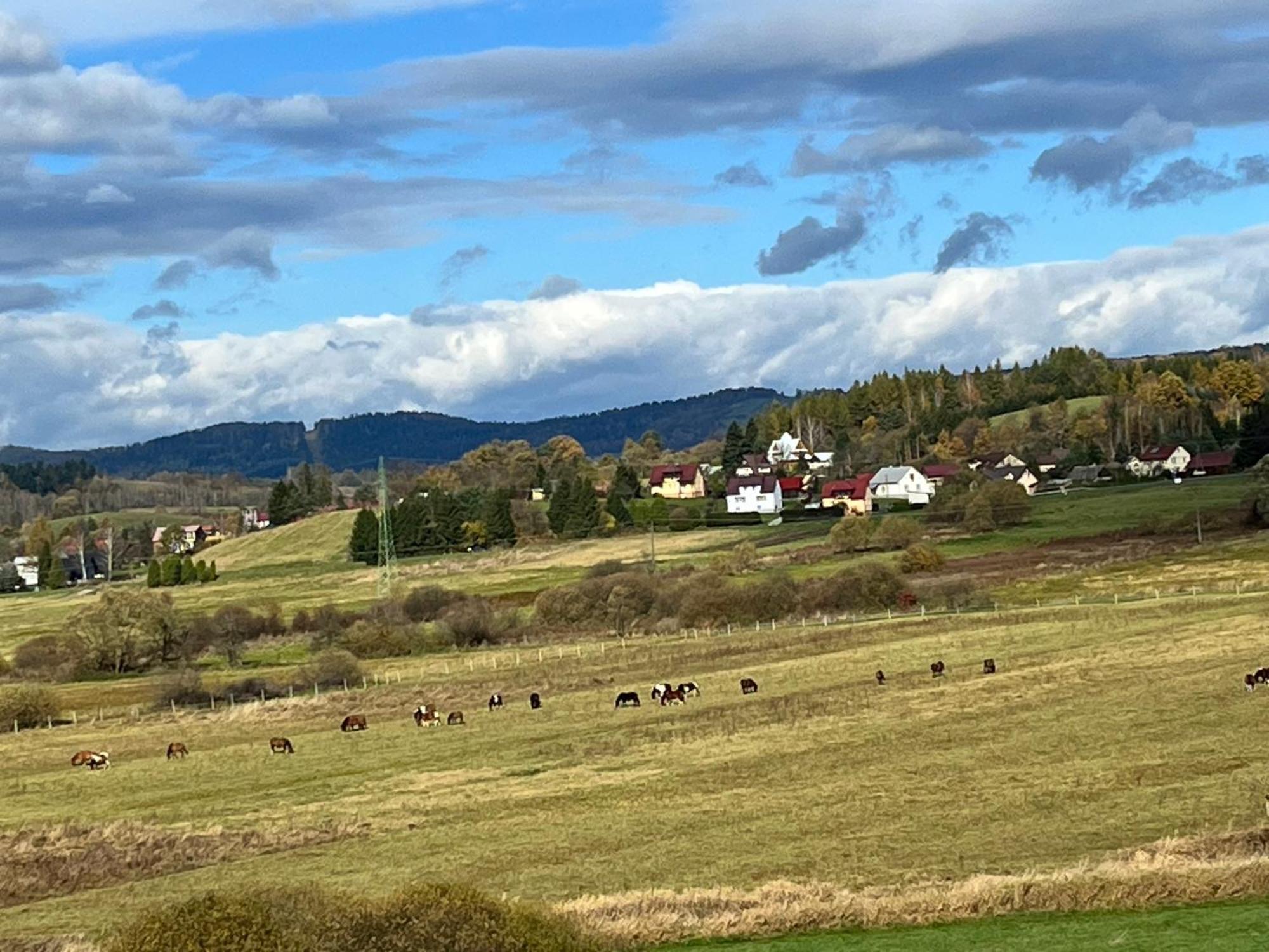 Domki Nad Stawem Uherce Uherce Mineralne Eksteriør bilde